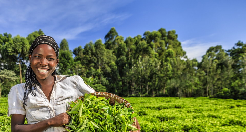 Farmers & Producers